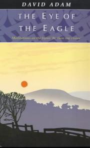 The eye of the eagle : meditations on the hymn 'Be thou my vision'