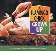 Cover of: A Flamingo Chick Grows Up (Baby Animals) by Joan Hewett