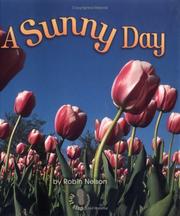 Cover of: A Sunny Day (First Step Nonfiction)