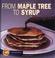 Cover of: From Maple Tree to Syrup (Start to Finish)