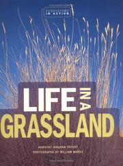 Cover of: Life in a Grassland (Ecoystems in Action)