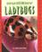 Cover of: Hungry Ladybugs (Pull Ahead Books)