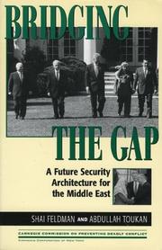 Cover of: Bridging the gap: a future security architecture for the Middle East