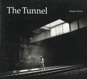 The tunnel : the underground homeless of New York City