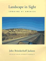 Landscape in sight : looking at America