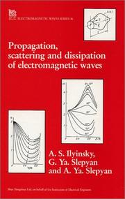 Propagation, scattering and dissipation of electromagnetic waves