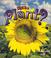 Cover of: What is a Plant? (The Science of Living Things)