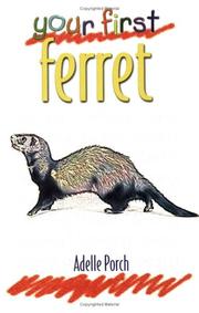 Cover of: Your first ferret