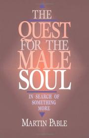 Cover of: The quest for the male soul: in search of something more