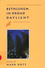 Cover of: Bethlehem in broad daylight: poems