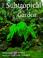 Cover of: The Subtropical Garden