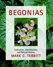 Begonias by Mark C. Tebbitt