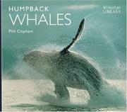 Humpback whales by Phil Clapham