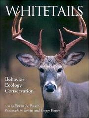 Cover of: Whitetails (Wildlife)