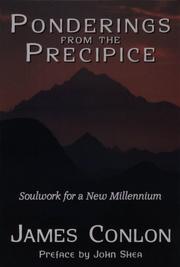 Cover of: Ponderings from the precipice: soulwork for the new millennium