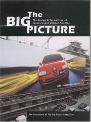 Cover of: The big picture: the design & formatting of large-format digital printing