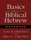 Cover of: Basics of Biblical Hebrew Workbook
