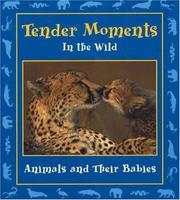 Cover of: Tender Moments in the Wild: Animals and Their Babies (Moments in the Wild series)