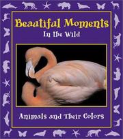 Cover of: Beautiful Moments in the Wild: Animals and Their Colors (Moments in the Wild series)