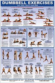 Cover of: Dumbbell Exercises-Lower Body/Core/Chest & Back Laminated (Poster)