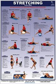Cover of: Stretching-Lower Body Laminated (Poster)