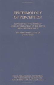 Epistemology of perception by Phillips, Stephen H.