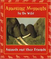 Cover of: Amusing Moments in the Wild: Animals and Their Friends (Moments in the Wild series)