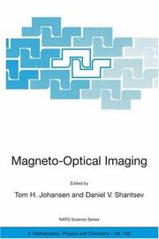 Magneto-optical imaging