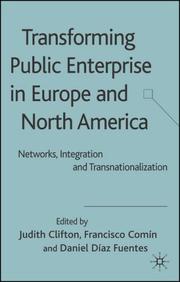 Transforming public enterprise in Europe and North America : networks, integration and transnationalization