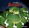 Cover of: Boas (Scary Snakes)