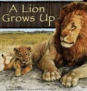 Cover of: A Lion Grows Up (Wild Animals)