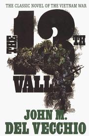 Cover of: The 13th valley: a novel
