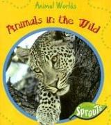 Cover of: Animals In The Wild (Animal Worlds)