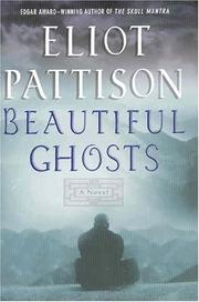 Beautiful ghosts by Eliot Pattison