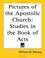 Cover of: Pictures Of The Apostolic Church