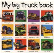 Cover of: My Big Truck Book (Priddy Bicknell Big Ideas for Little People)
