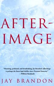 AfterImage by Jay Brandon