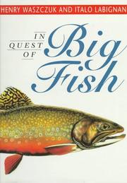 Cover of: In Quest of the Big Fish