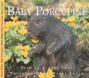 Cover of: Baby Porcupine (Nature Babies)
