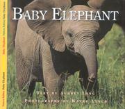 Cover of: Baby Elephant (Nature Babies)