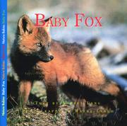 Cover of: Baby Fox (Nature Babies)
