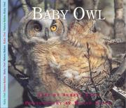 Cover of: Baby Owl (Nature Babies)
