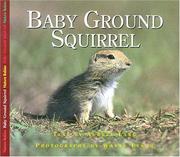BABY GROUND SQUIRREL by Aubrey Lang