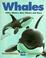 Cover of: Whales 