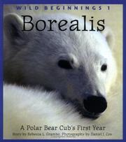 Cover of: Borealis: A Polar Bear Cub's First Year (Wild Beginnings Series)