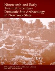 Cover of: Nineteenth-and Early Twentieth-Century Domestic Site Archaeology in New York State (New York State Museum Bulletin #495) (New York State Museum Bulletin,)