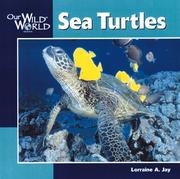 Sea turtles