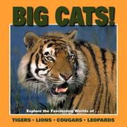 Cover of: Big Cats! (Our Wild World)