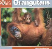 Orangutans