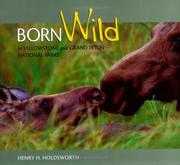 Cover of: Born wild in Yellowstone and Grand Teton National Parks